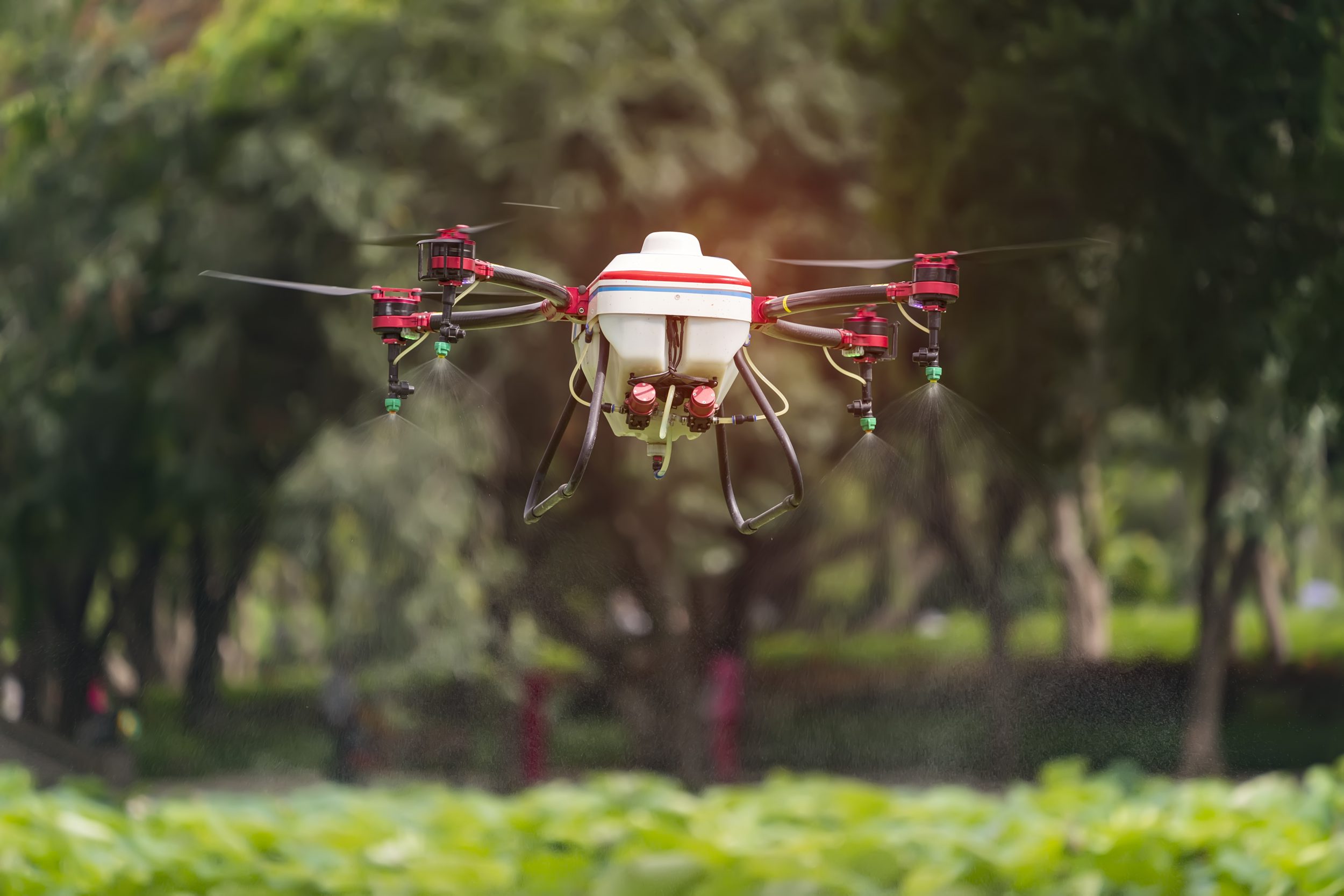 agriculture drone carry a tank of liquid fertilizer flying in the blue sky prepare to spray it in farming area